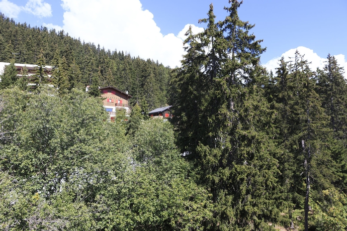 Imagen de la habitación del Hotel Faern Crans-montana Valaisia. Foto 5