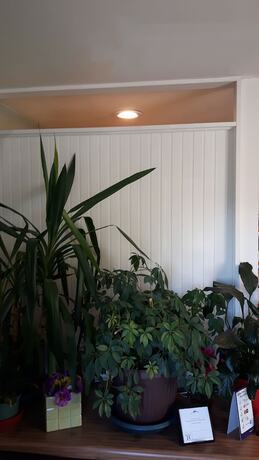 Imagen general del Hotel Fair Isle Motel. Foto 4