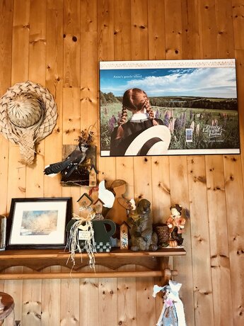 Imagen general del Hotel Fair Isle Motel. Foto 9