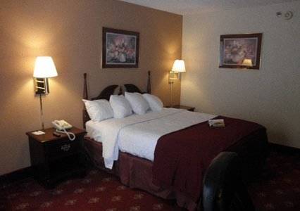 Imagen de la habitación del Hotel Fairbridge Inn and Suites Poconos. Foto 6