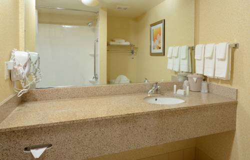 Imagen de la habitación del Hotel Fairfield By Marriott Inn and Suites Richmond Innsbrook. Foto 8