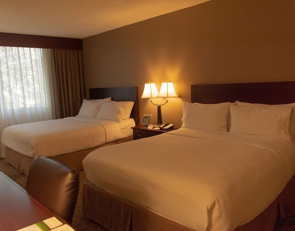 Imagen de la habitación del Hotel Fairfield Inn And Suites By Marriott Issaquah. Foto 15