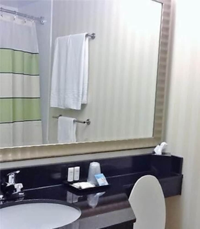Imagen de la habitación del Hotel Fairfield Inn By Marriott Cincinnati North Sharonville. Foto 13