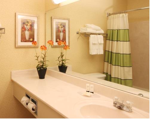 Imagen de la habitación del Hotel Fairfield Inn By Marriott Joliet South. Foto 6
