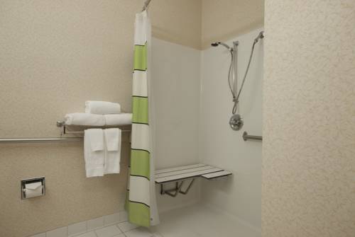 Imagen de la habitación del Hotel Fairfield Inn By Marriott Joliet South. Foto 7