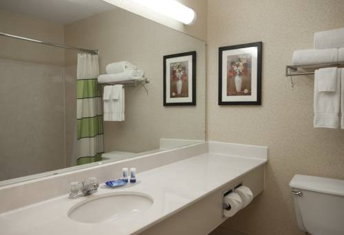 Imagen de la habitación del Hotel Fairfield Inn By Marriott Joliet South. Foto 8