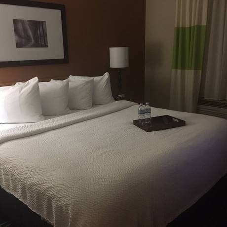 Imagen de la habitación del Hotel Fairfield Inn By Marriott Laguardia Airport/flushing. Foto 13