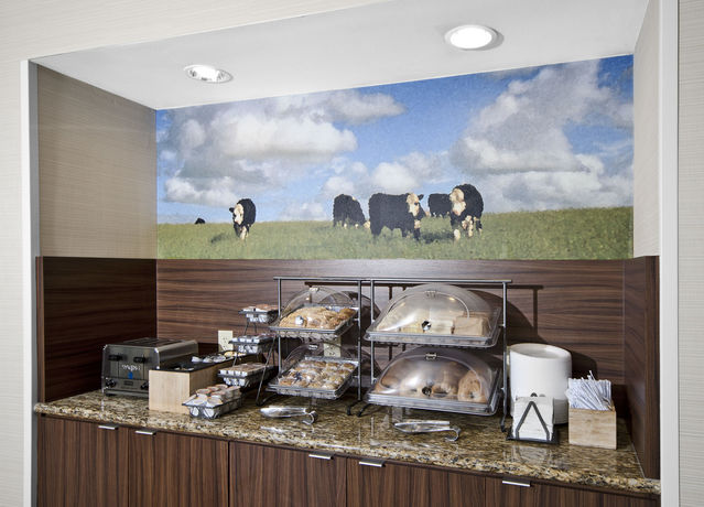 Imagen de la habitación del Hotel Fairfield Inn By Marriott Raleigh Airport/rtp. Foto 11