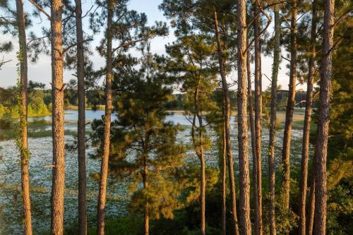 Imagen general del Hotel Fairfield Inn By Marriott Savannah Airport. Foto 8