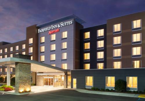 Imagen general del Hotel Fairfield Inn & Suites Atlanta Gwinnett Place. Foto 2