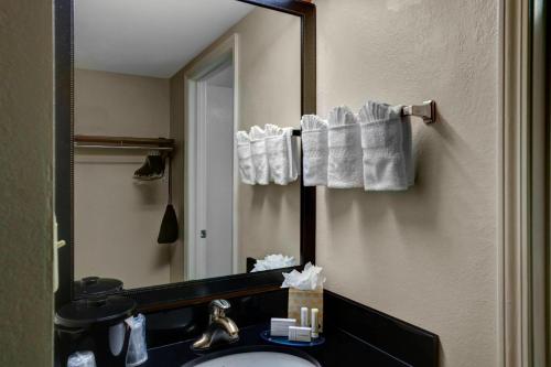 Imagen de la habitación del Hotel Fairfield Inn & Suites By Marriott Atlanta Alphare. Foto 15