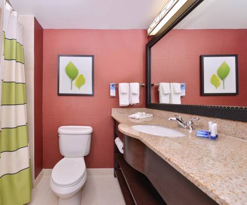 Imagen de la habitación del Hotel Fairfield Inn & Suites By Marriott Denver Aurora/Parker. Foto 7