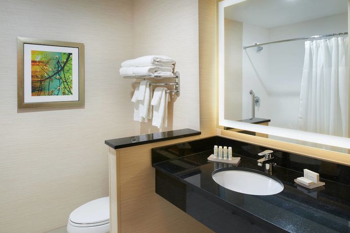 Imagen de la habitación del Hotel Fairfield Inn & Suites By Marriott Detroit Troy. Foto 15