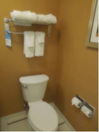 Imagen de la habitación del Hotel Fairfield Inn & Suites By Marriott Elmira Corning. Foto 5