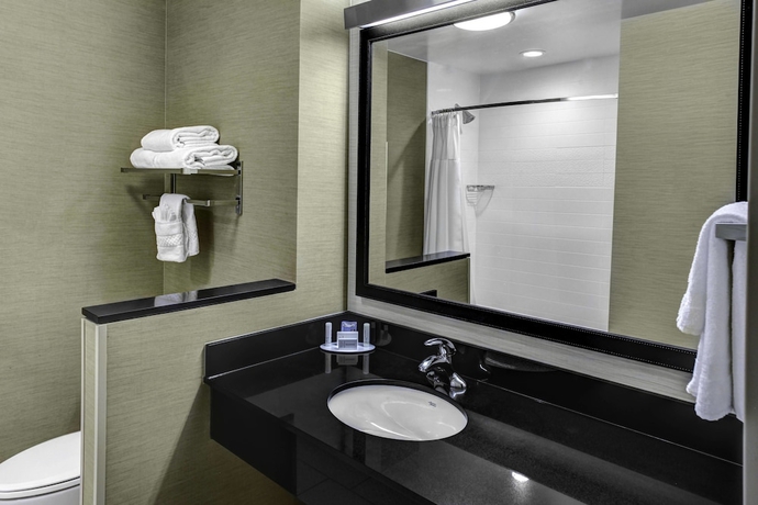 Imagen de la habitación del Hotel Fairfield Inn & Suites By Marriott Lansing At Eastwood. Foto 15