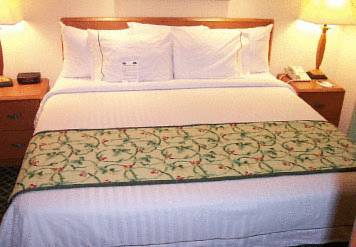 Imagen de la habitación del Hotel Fairfield Inn & Suites Effingham. Foto 4