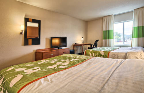 Imagen de la habitación del Hotel Fairfield Inn & Suites Lock Haven. Foto 9