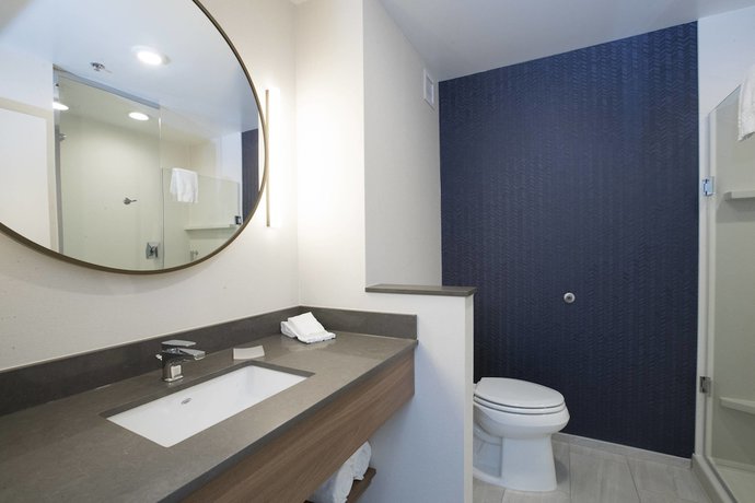 Imagen de la habitación del Hotel Fairfield Inn & Suites Philadelphia Valley Forge/Great Valley. Foto 4
