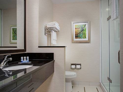 Imagen de la habitación del Hotel Fairfield Inn & Suites by Marriott Atlanta Buford/Mall of Georgia. Foto 5