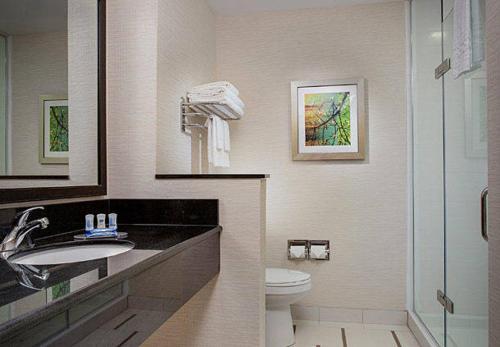 Imagen de la habitación del Hotel Fairfield Inn & Suites by Marriott New York Queens/Fresh Meadows. Foto 10