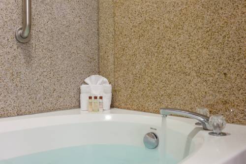 Imagen de la habitación del Hotel Fairfield Inn & Suites by Marriott Virginia Beach/Norfolk Airport. Foto 3