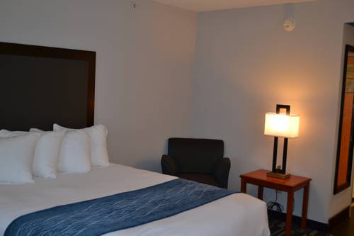 Imagen de la habitación del Hotel Fairfield Inn & Suites by Marriott Virginia Beach/Norfolk Airport. Foto 4