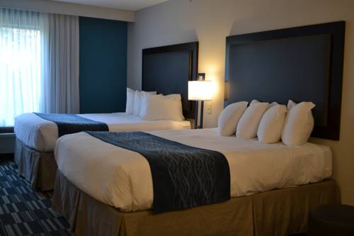 Imagen de la habitación del Hotel Fairfield Inn & Suites by Marriott Virginia Beach/Norfolk Airport. Foto 5