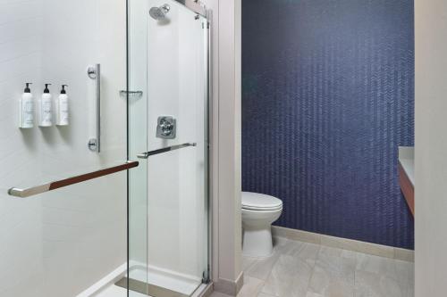 Imagen de la habitación del Hotel Fairfield Inn and Suites By Marriott Atlanta Mcdonough. Foto 12