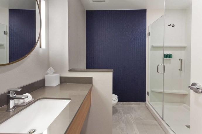 Imagen de la habitación del Hotel Fairfield Inn and Suites By Marriott Birmingham Colonnade. Foto 8