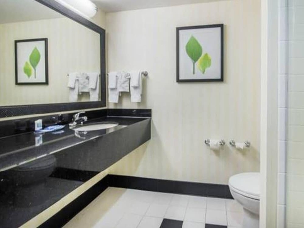 Imagen de la habitación del Hotel Fairfield Inn and Suites By Marriott Conway. Foto 13