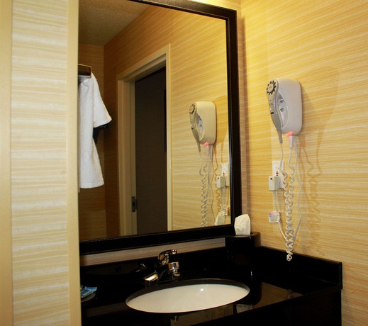 Imagen de la habitación del Hotel Fairfield Inn and Suites By Marriott Detroit Farmington Hills. Foto 11