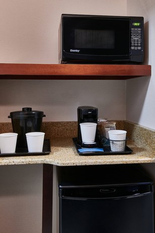 Imagen de la habitación del Hotel Fairfield Inn and Suites By Marriott Detroit Livonia. Foto 10