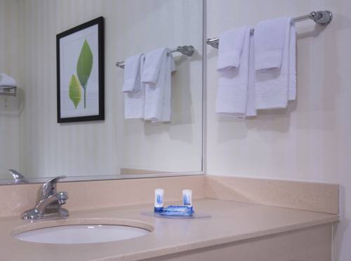 Imagen de la habitación del Hotel Fairfield Inn and Suites By Marriott Dover. Foto 5