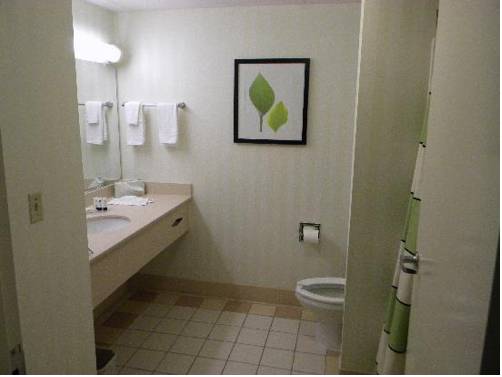 Imagen de la habitación del Hotel Fairfield Inn and Suites By Marriott Dover. Foto 13