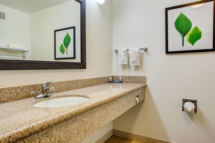 Imagen de la habitación del Hotel Fairfield Inn and Suites By Marriott Indianapolis Noblesville. Foto 6