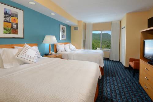 Imagen de la habitación del Hotel Fairfield Inn and Suites By Marriott Roanoke Hollins/i-81. Foto 4
