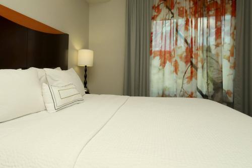 Imagen general del Hotel Fairfield Inn and Suites Harrisburg West. Foto 6