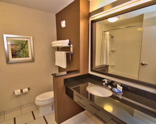 Imagen de la habitación del Hotel Fairfield Inn and Suites Towanda Wysox. Foto 9