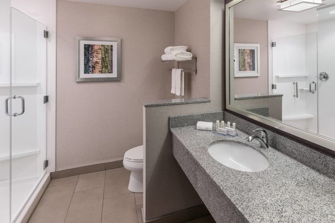 Imagen de la habitación del Hotel Fairfield Inn and Suites by Marriott Chicago Schaumburg. Foto 11