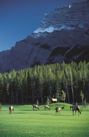 Imagen general del Hotel Fairmont Banff Springs. Foto 1