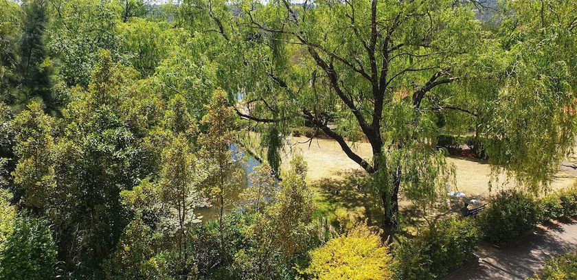 Imagen general del Hotel Fairmont Resort Blue Mountains - MGallery Collection. Foto 2