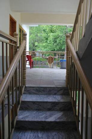 Imagen general del Hotel Fairy Garden and Resorts. Foto 7