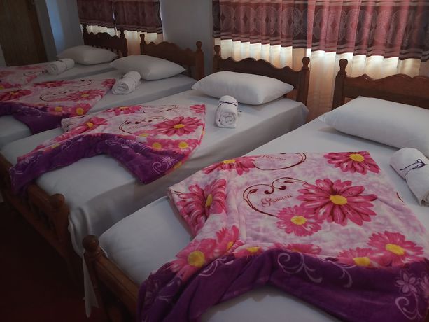 Imagen de la habitación del Hotel Fairy Hostel. Foto 6