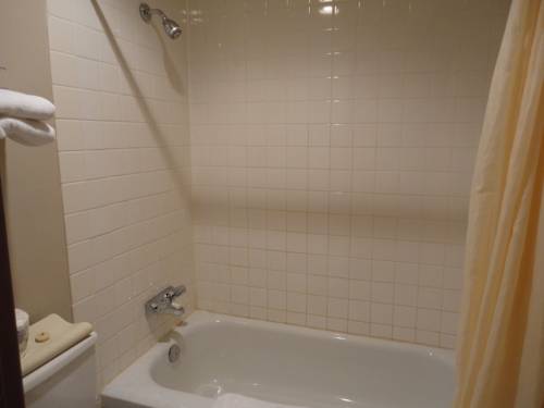 Imagen de la habitación del Hotel Falcon Resort. Foto 8
