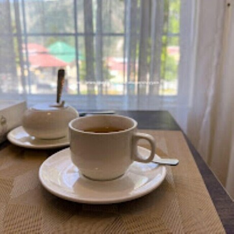 Imagen general del Hotel Faletti\'s Grand Naran. Foto 11