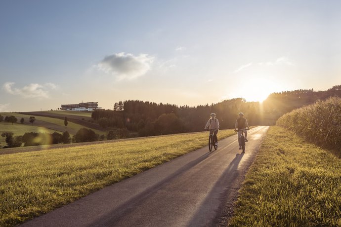Imagen general del Hotel Falkensteiner Genuss and Wohlf&uuml;hlhotel M&uuml;hlviertel. Foto 3