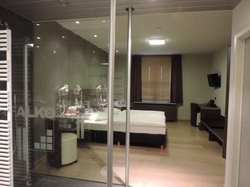 Imagen de la habitación del Hotel Falko. Foto 14