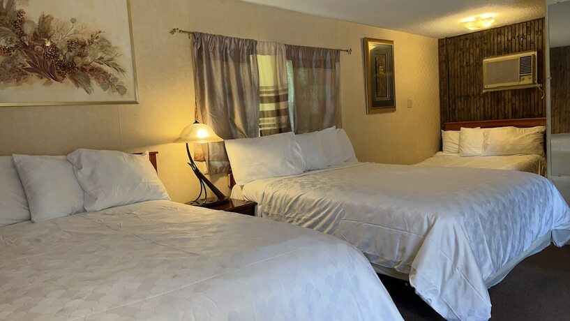 Imagen de la habitación del Hotel Falls Motel, City of Niagara Falls. Foto 19
