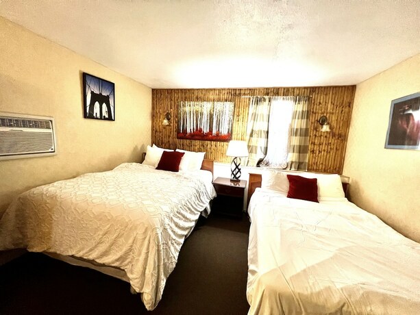 Imagen general del Hotel Falls Motel, City of Niagara Falls. Foto 13