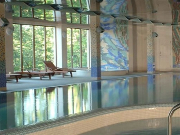 Imagen general del Hotel Falls and Spa. Foto 3